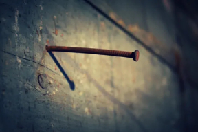 Как пропаганда снова попыталась лягнуть беларусов, а попала по Лукашенко